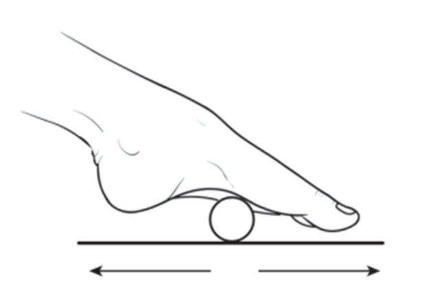 Ball foot role